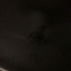 Meet your Posher, Donavan